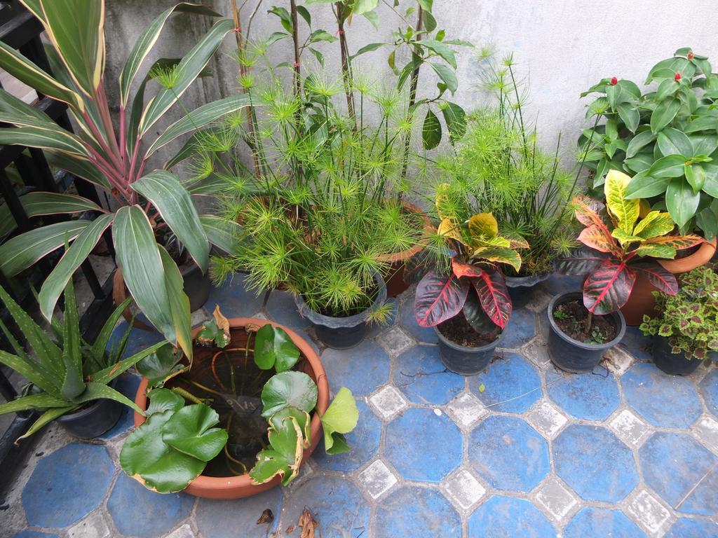 Guest house Funki Nimman Chiang Mai