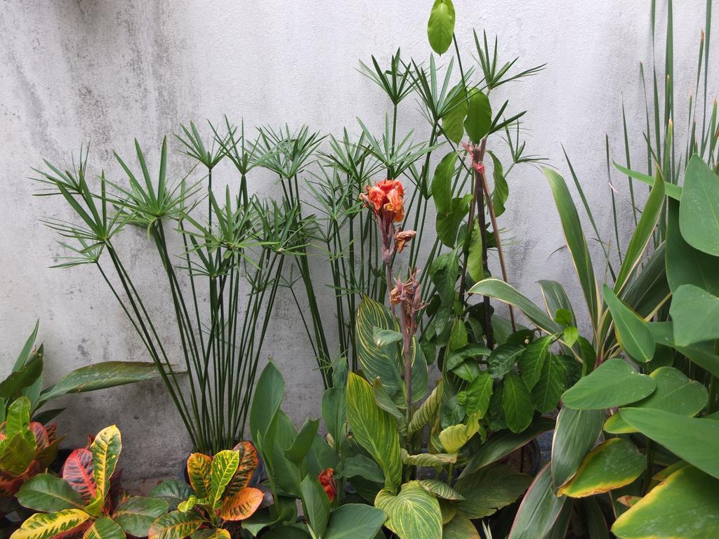 Guest house Funki Nimman
